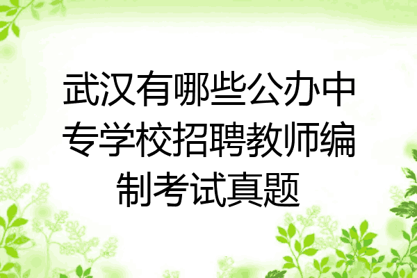 武汉有哪些公办中专学校招聘教师编制考试真题