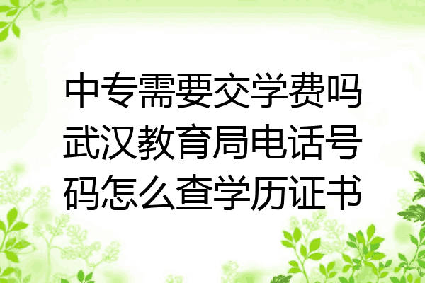 中专需要交学费吗武汉教育局电话号码怎么查学历证书