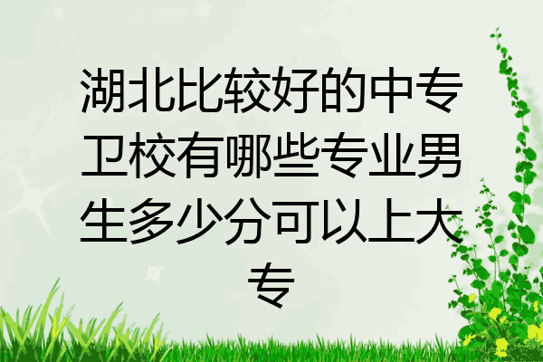 湖北比较好的中专卫校有哪些专业男生多少分可以上大专