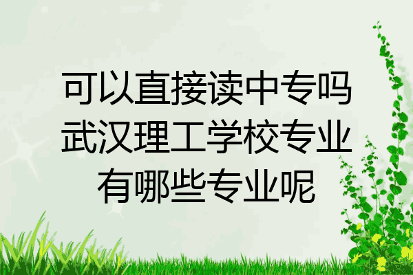 可以直接读中专吗武汉理工学校专业有哪些专业呢