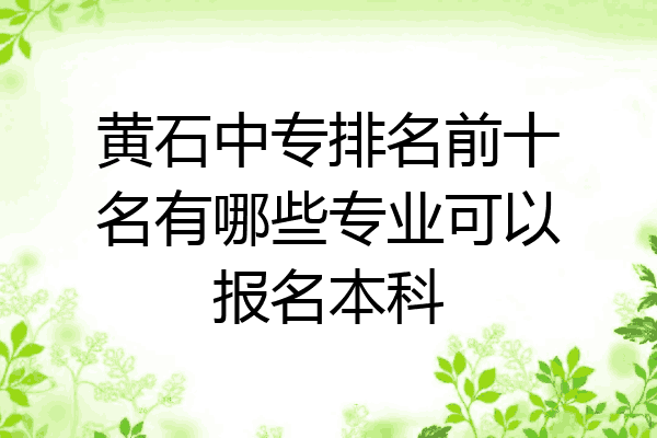 黄石中专排名前十名有哪些专业可以报名本科