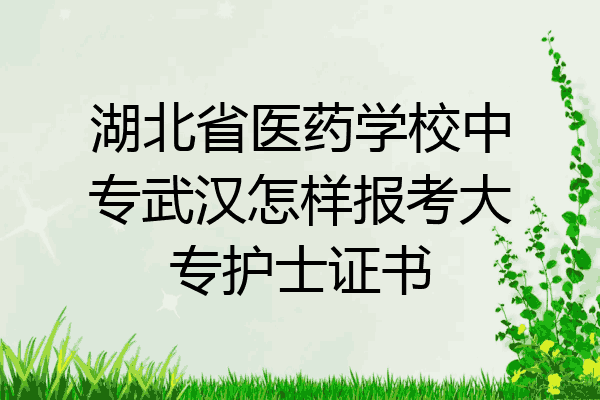湖北省医药学校中专武汉怎样报考大专护士证书