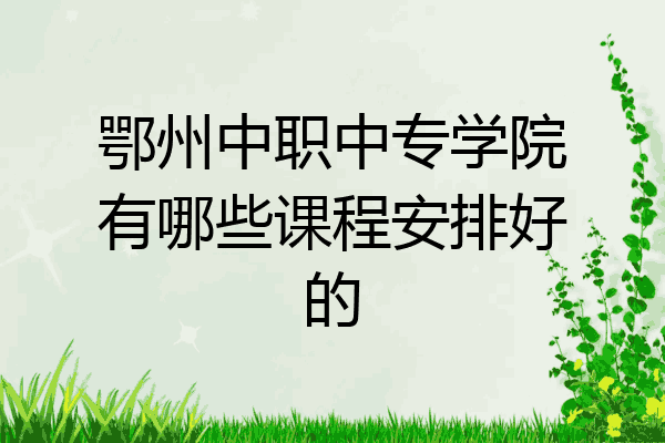 鄂州中职中专学院有哪些课程安排好的