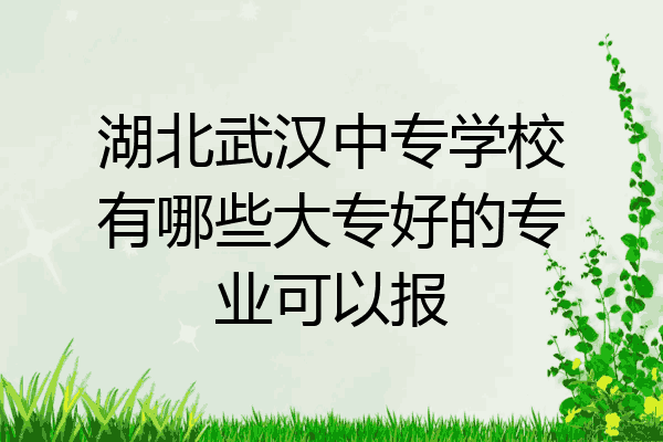湖北武汉中专学校有哪些大专好的专业可以报