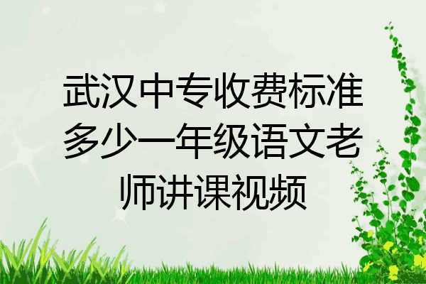 武汉中专收费标准多少一年级语文老师讲课视频