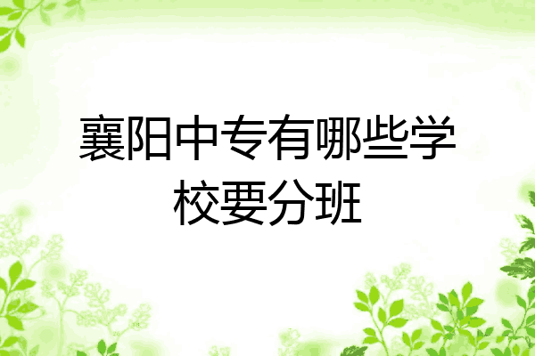 襄阳中专有哪些学校要分班