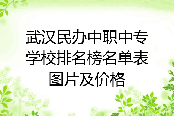 武汉民办中职中专学校排名榜名单表图片及价格