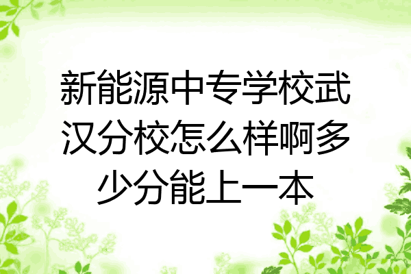 新能源中专学校武汉分校怎么样啊多少分能上一本