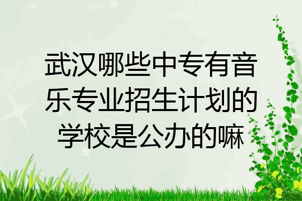 武汉哪些中专有音乐专业招生计划的学校是公办的嘛
