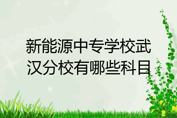 新能源中专学校武汉分校有哪些科目