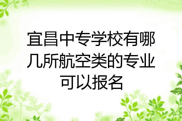 宜昌中专学校有哪几所航空类的专业可以报名