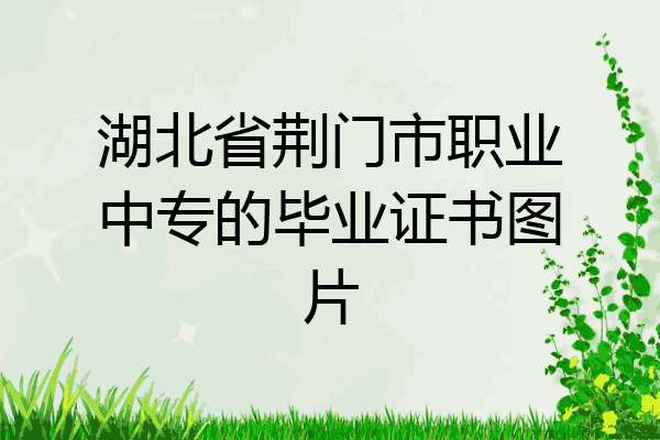 湖北省荆门市职业中专的毕业证书图片