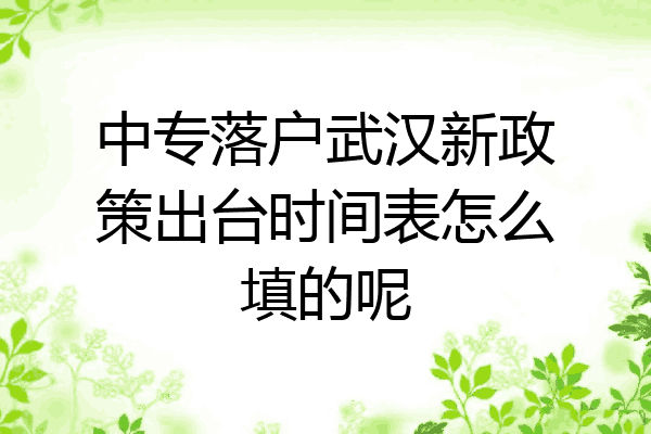 中专落户武汉新政策出台时间表怎么填的呢