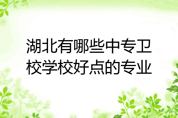 湖北有哪些中专卫校学校好点的专业