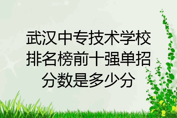 武汉中专技术学校排名榜前十强单招分数是多少分