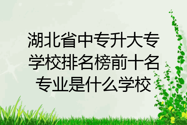 湖北省中专升大专学校排名榜前十名专业是什么学校