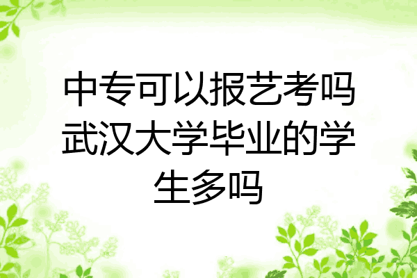 中专可以报艺考吗武汉大学毕业的学生多吗