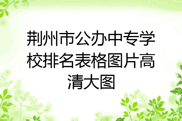 荆州市公办中专学校排名表格图片高清大图