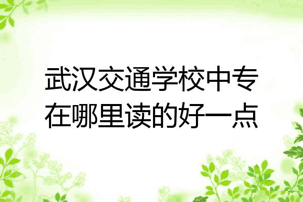 武汉交通学校中专在哪里读的好一点