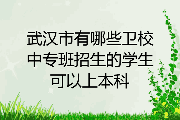 武汉市有哪些卫校中专班招生的学生可以上本科