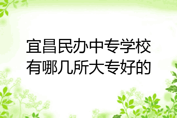 宜昌民办中专学校有哪几所大专好的