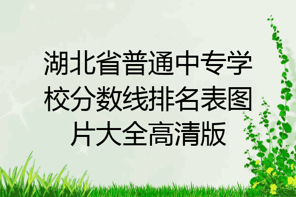 湖北省普通中专学校分数线排名表图片大全高清版