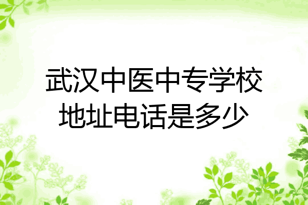 武汉中医中专学校地址电话是多少