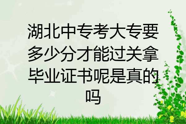湖北中专考大专要多少分才能过关拿毕业证书呢是真的吗