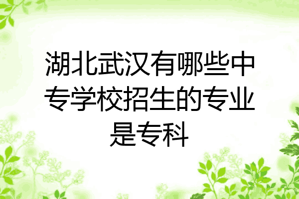 湖北武汉有哪些中专学校招生的专业是专科
