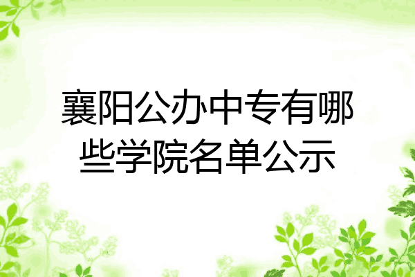 襄阳公办中专有哪些学院名单公示