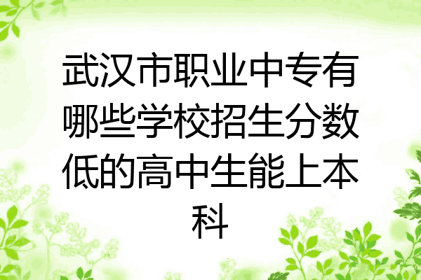 武汉市职业中专有哪些学校招生分数低的高中生能上本科