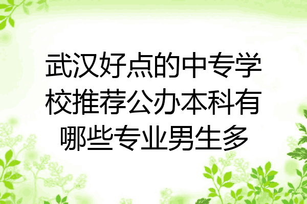武汉好点的中专学校推荐公办本科有哪些专业男生多
