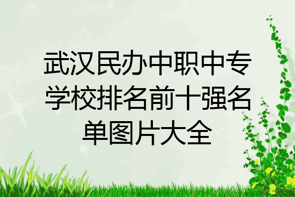 武汉民办中职中专学校排名前十强名单图片大全