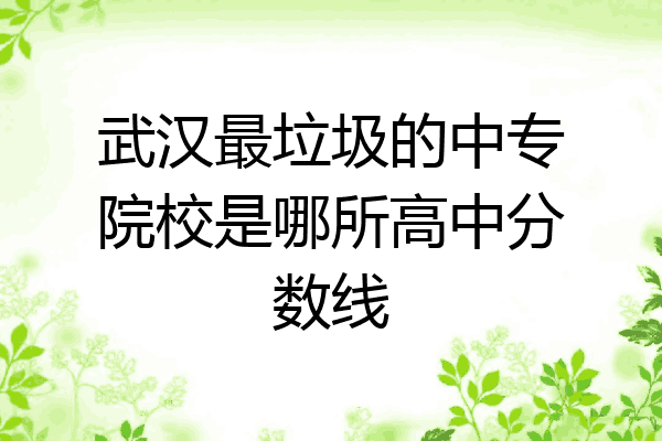 武汉最垃圾的中专院校是哪所高中分数线