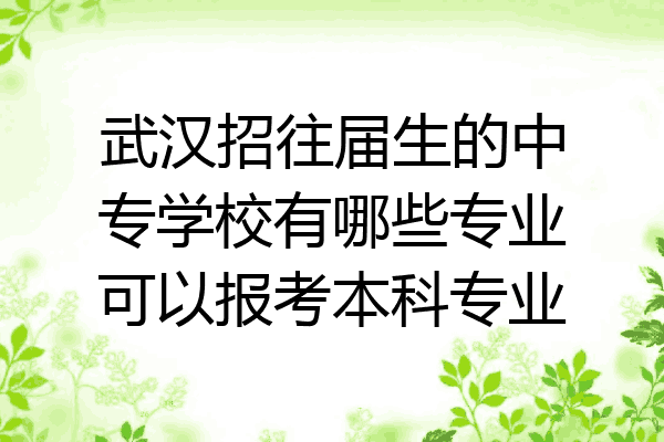 武汉招往届生的中专学校有哪些专业可以报考本科专业