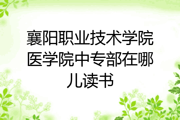 襄阳职业技术学院医学院中专部在哪儿读书