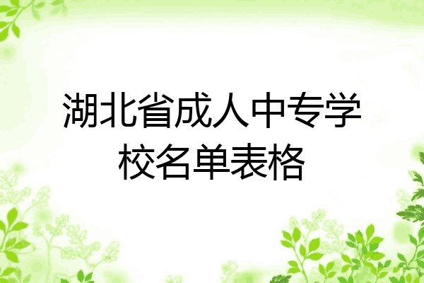 湖北省成人中专学校名单表格