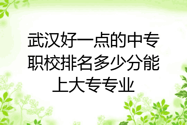 武汉好一点的中专职校排名多少分能上大专专业