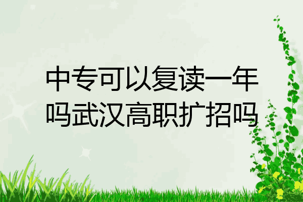 中专可以复读一年吗武汉高职扩招吗