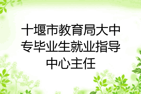 十堰市教育局大中专毕业生就业指导中心主任
