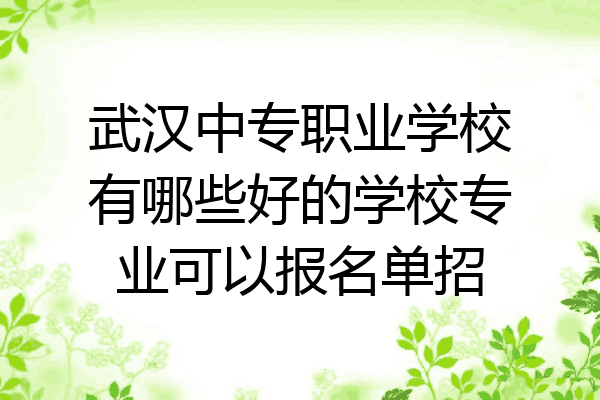 武汉中专职业学校有哪些好的学校专业可以报名单招