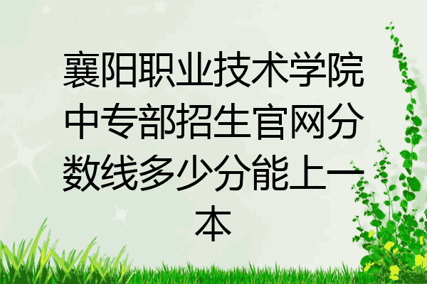 襄阳职业技术学院中专部招生官网分数线多少分能上一本