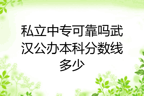 私立中专可靠吗武汉公办本科分数线多少