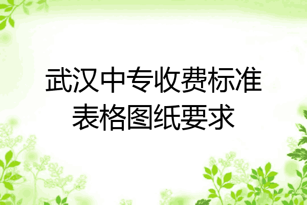 武汉中专收费标准表格图纸要求