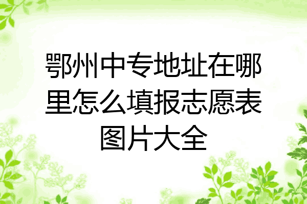 鄂州中专地址在哪里怎么填报志愿表图片大全