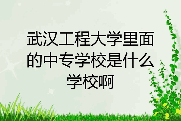 武汉工程大学里面的中专学校是什么学校啊