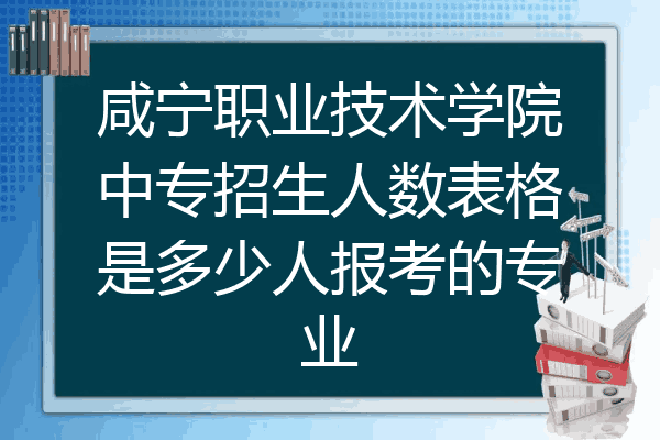咸宁职业技术学院中专招生人数表格是多少人报考的专业