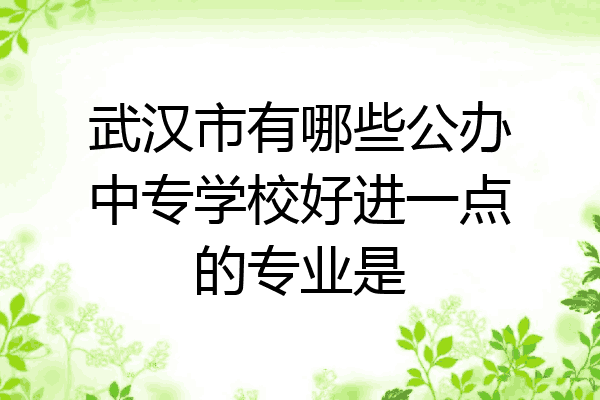 武汉市有哪些公办中专学校好进一点的专业是