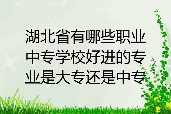 湖北省有哪些职业中专学校好进的专业是大专还是中专