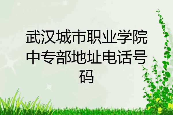 武汉城市职业学院中专部地址电话号码